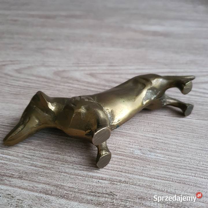 Jamnik mosiądz Pozostałe Nowa Sól