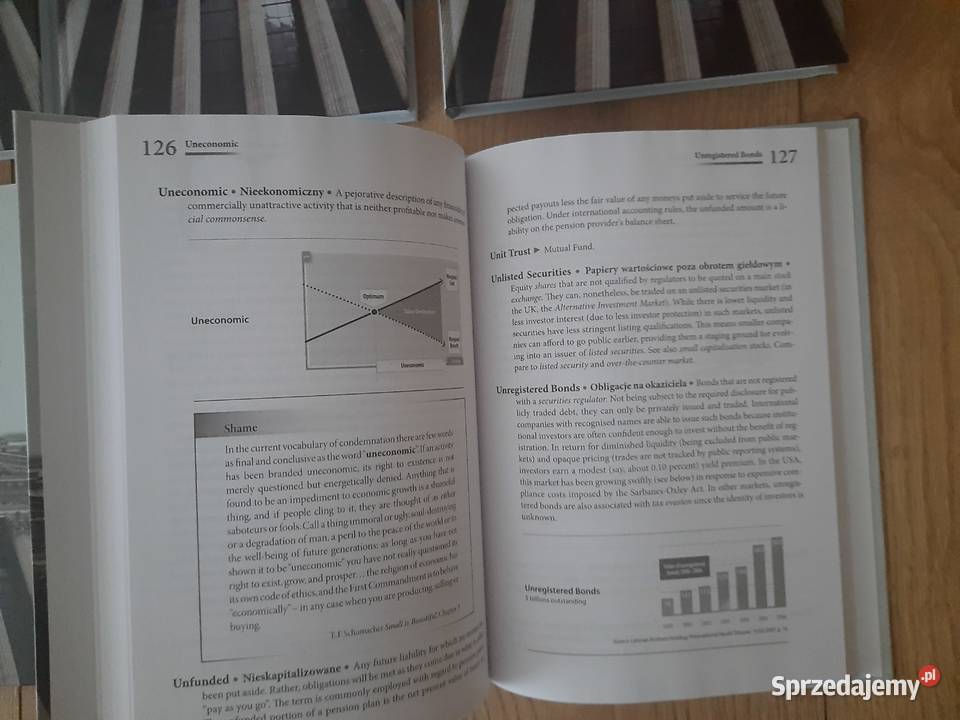 R Patterson Kompendium terminów z zakresu biznes, nauki ekonomiczne Serock