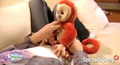 Maskotka Interaktywna MAŁPKA Emotion Pets Mogilany