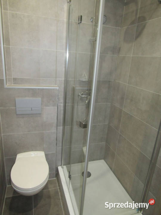 Apartament 2 pokojowy Olszowa Powiat Strzelce 1 piętro Wynajem sprzedam