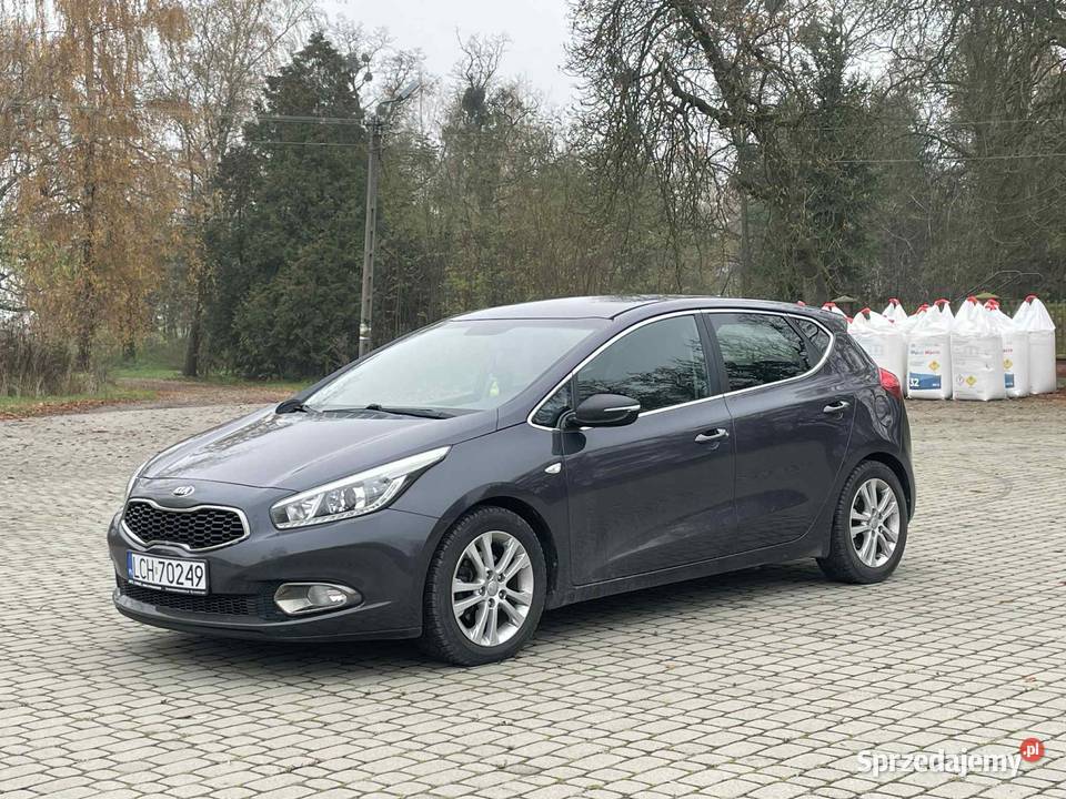 Kia Ceed 2 Olchowiec