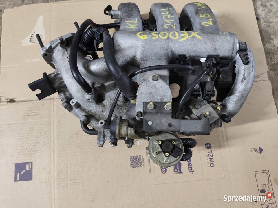 Kolektor ssący Xedos lubelskie