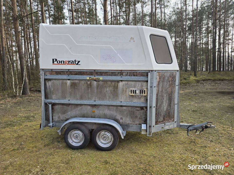 Przyczepa do przewozu koni zwierząt PONGRATZ PA warmińsko-mazurskie Korpele sprzedam