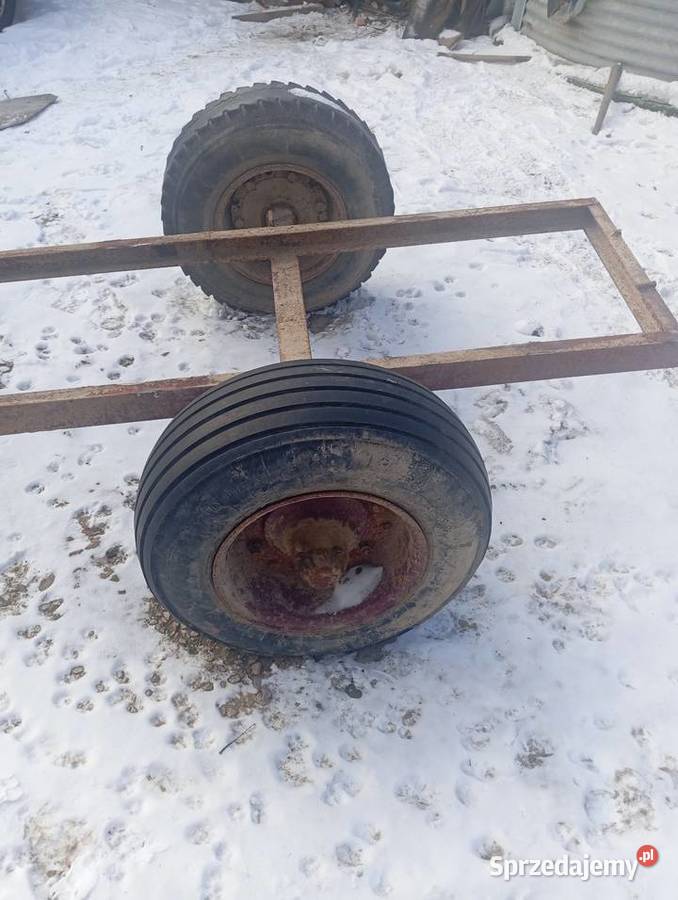 Rama Pozostałe Baćkowice