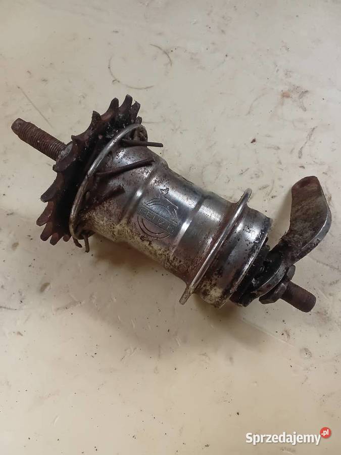 Torpedo Renak Milejewo