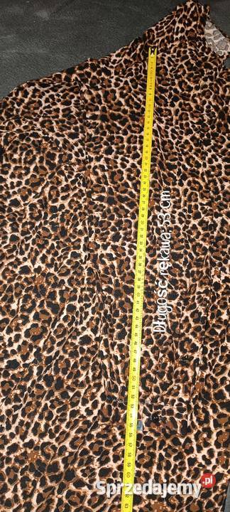 Sukienka w panterkę Rozmiar 40(L) kujawsko-pomorskie Toruń