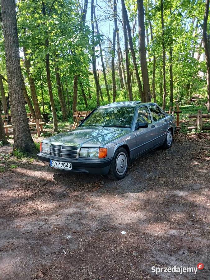 MercedesBenz lubuskie Lipki Wielkie