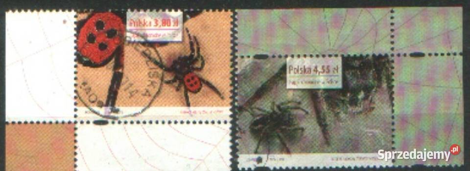 Zn Fi 4448 77 8 80 8 506 7 kas 2013 Gliwice