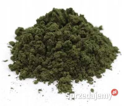 Rodamina B Rhodamine B 10g Łódź