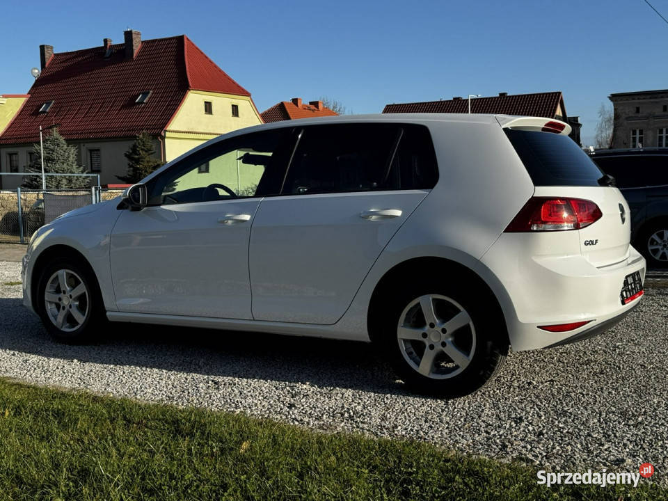 Volkswagen Golf VII 12 TSI 87 5drzwi Bały 2 kpl Zarejestrowany w Polsce Golf