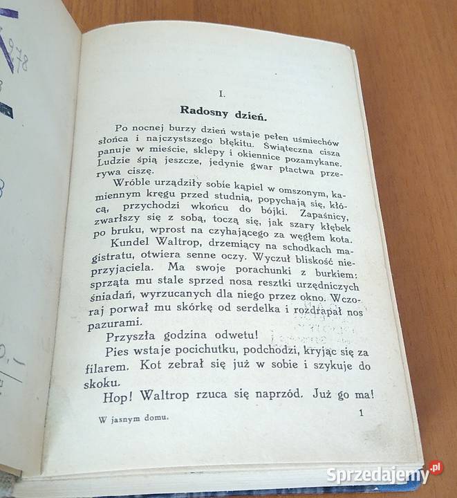 W jasnym domu powieść młodzieży Stanisław