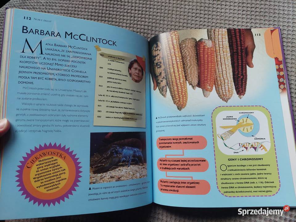 National Geographic Pionierzy nauki Mike Kraków