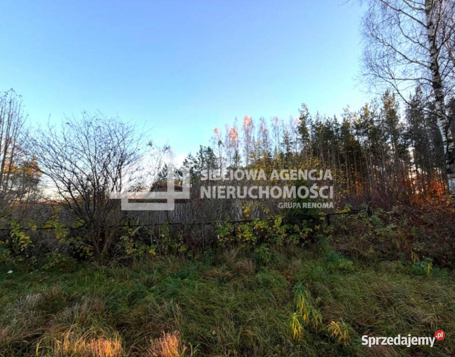 Sprzedam grunt 949m Przodkowo