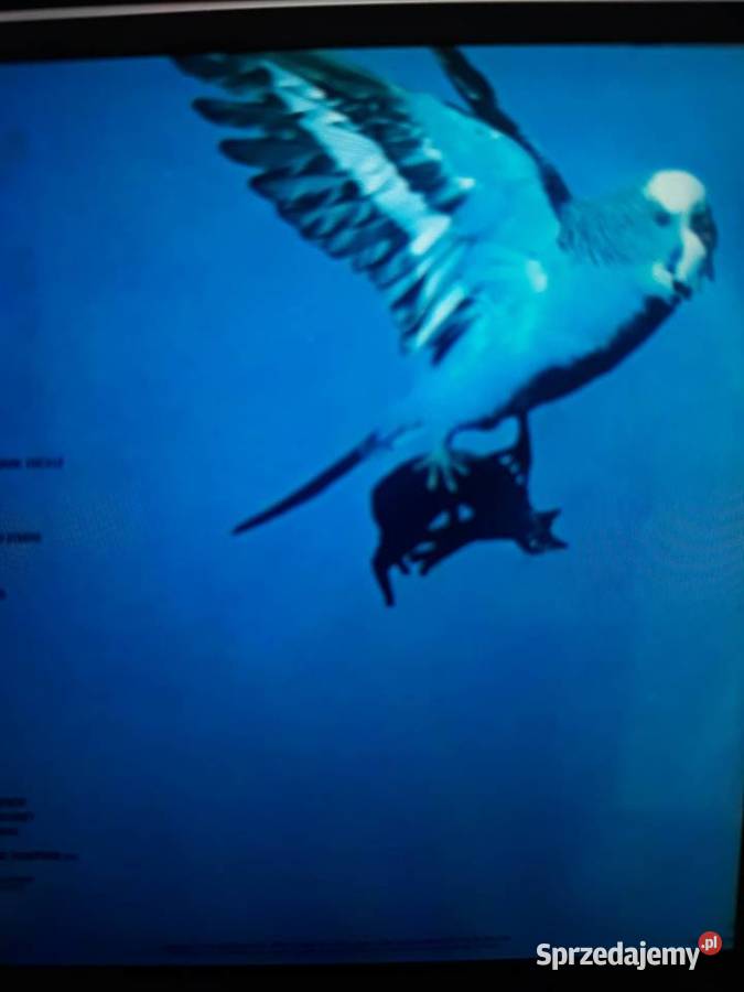 Klasyka hard rocka BUDGIE Impeckable 1978 Rzeszów