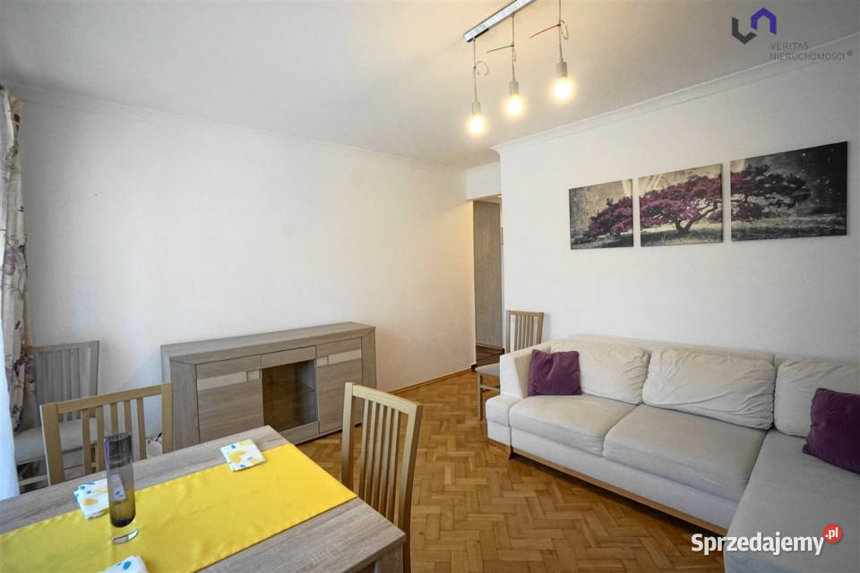 wynajmu mieszkania Katowice Żurawia 547m2 3pok Wynajem
