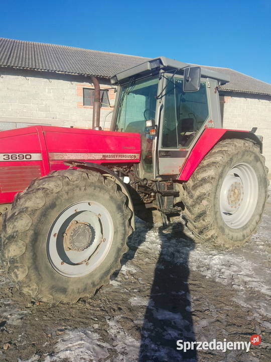 Massey Ferguson 3690 Grabów
