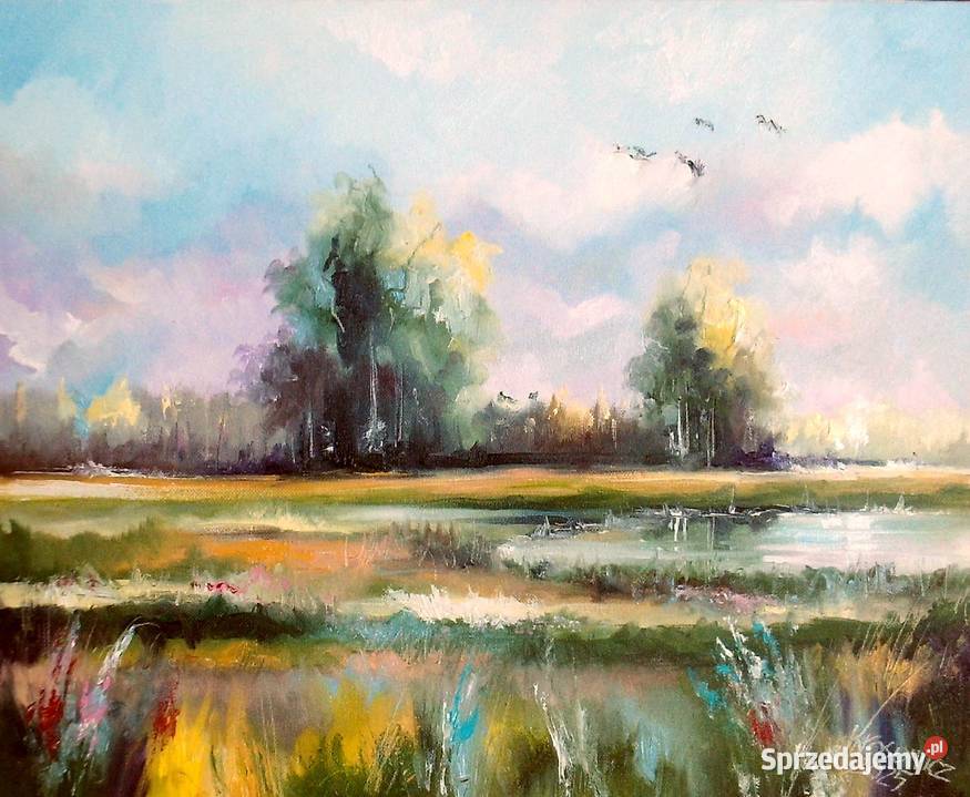Obraz olejny Łąka XIII zachodniopomorskie Barlinek