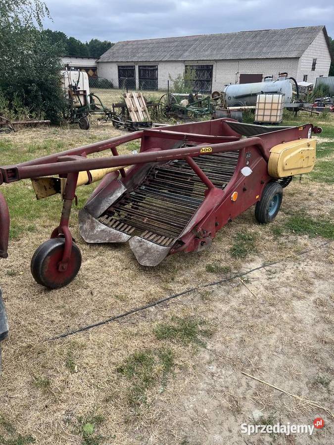 Kopaczka elewatorowa do ziemniaków Charlejów sprzedam