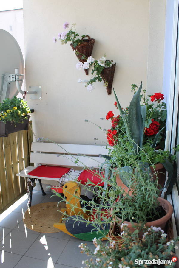 Botanik 2 pokoje TBS oddzielna kuchnia Lublin