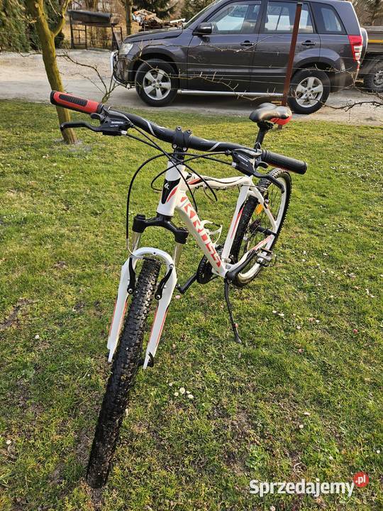 Kross Lea F3 Brzeszcze