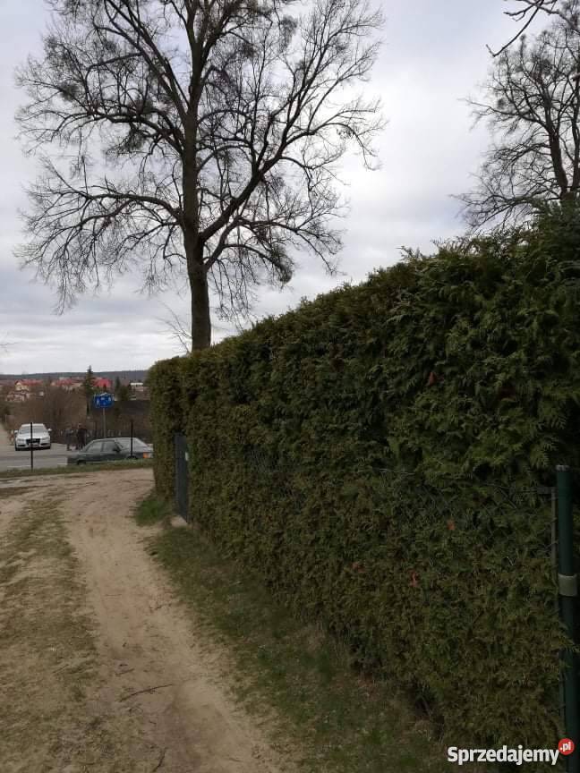 Sprzedam działke ogrodniczą wejherowo szambo