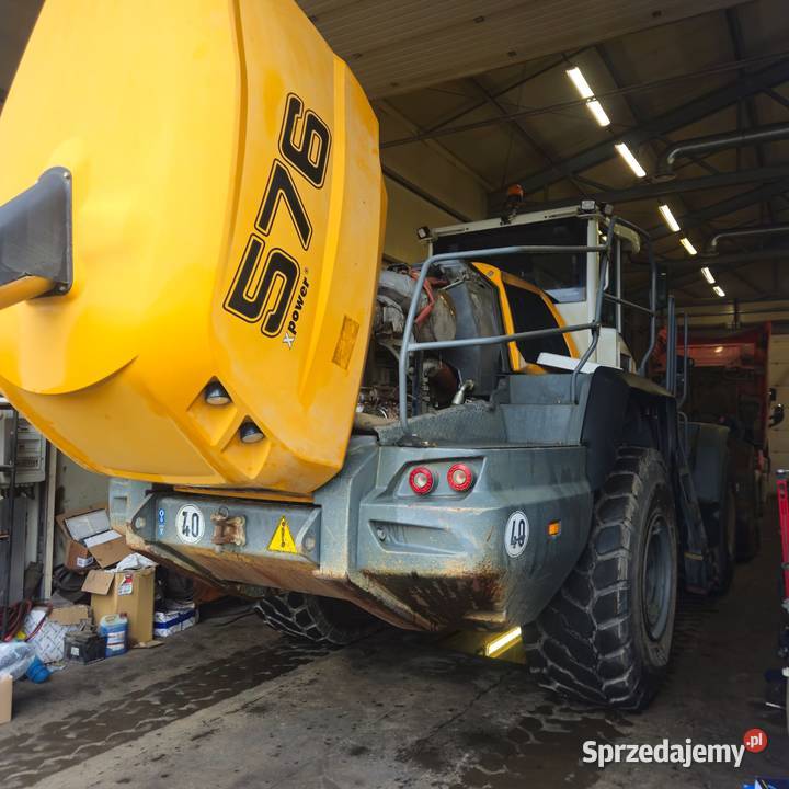Liebherr Wyłączanie Adblue DPF EGR Katowice