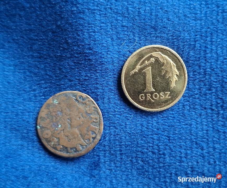 Szeląg litewski Jan II Kazimierz Waza Wilno 1665 Wejherowo