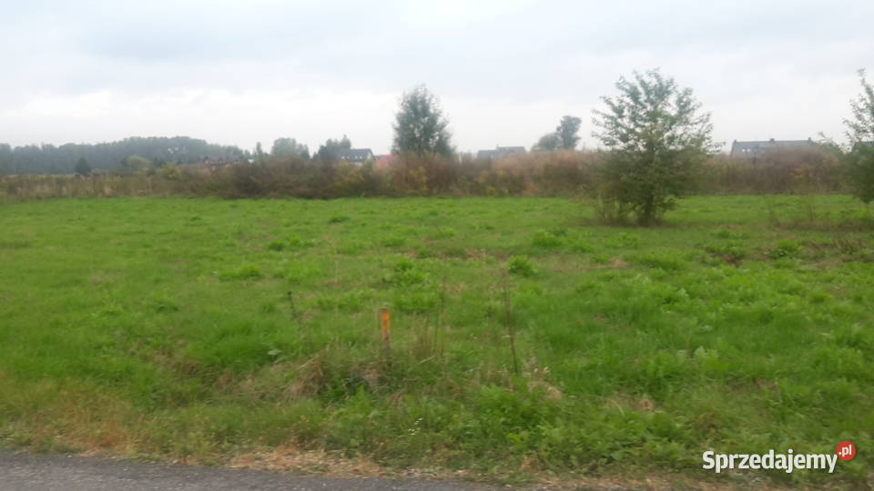 Działka Kajetany Sprzedaż mazowieckie Warszawa