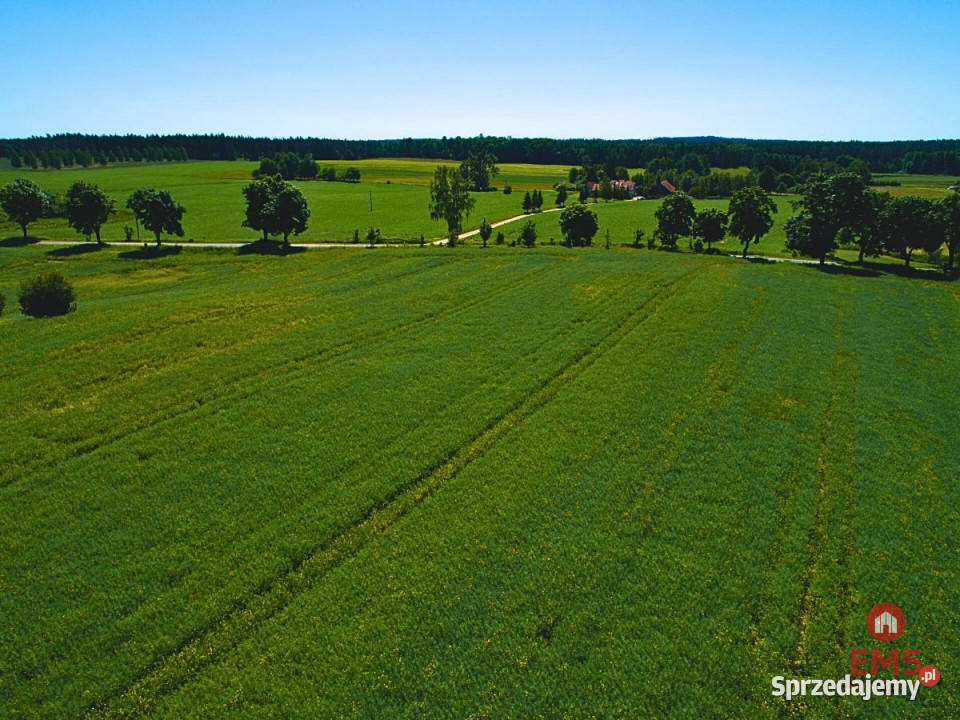 Działkę sprzedam 3030 metrów Harsz