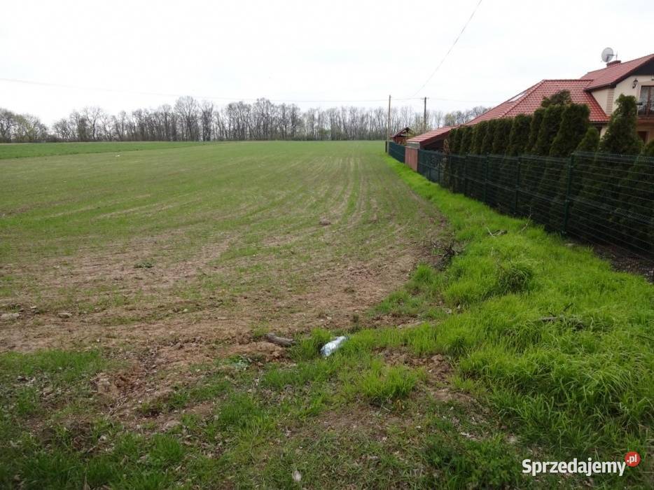 Działka budowlana w Zielonczynie 1504m2 kujawsko-pomorskie sprzedam