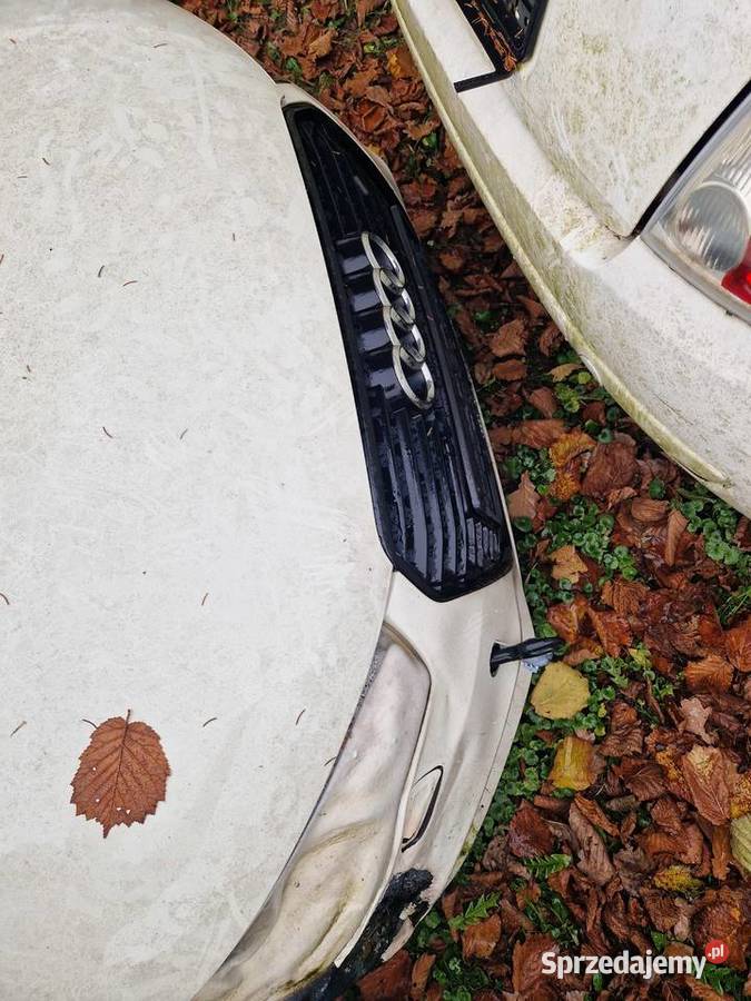 Samochod na czesci Bestwina