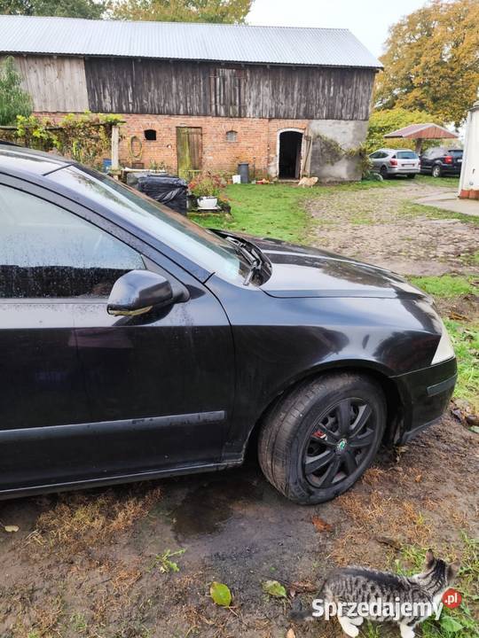Skoda octavia II Stare Ludzicko sprzedam
