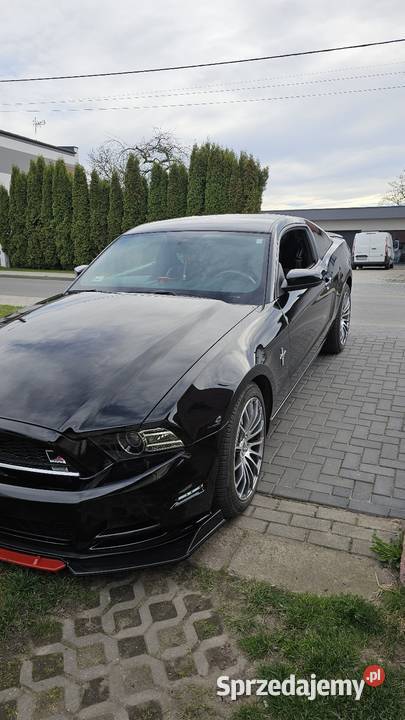 Mustang Premium 37 305 81000TKM ROUSH opolskie Głogówek sprzedam