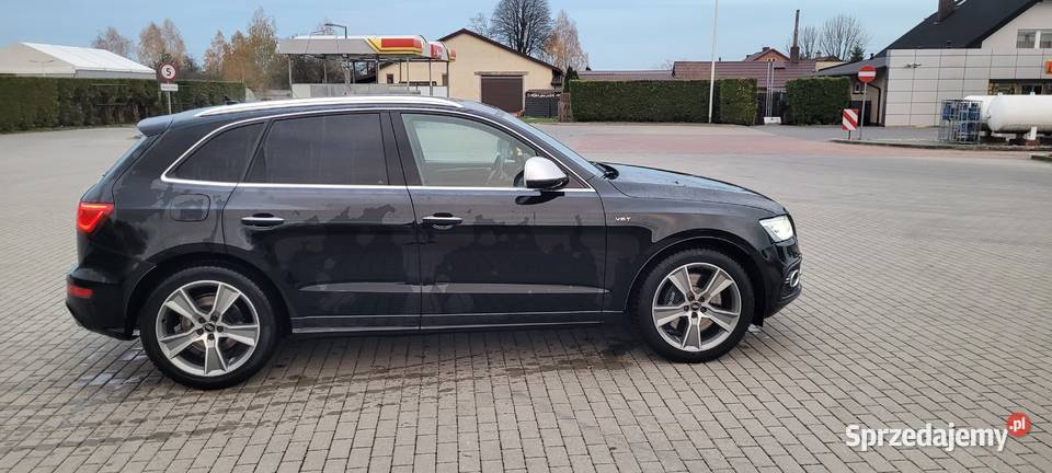 Audi SQ5 30 TDI 313 Full Tłuszcz