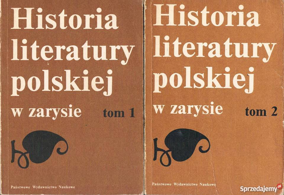 HISTORIA LITERATURY POLSKIEJ W ZARYSIE 12 FA zachodniopomorskie Goleniów sprzedam