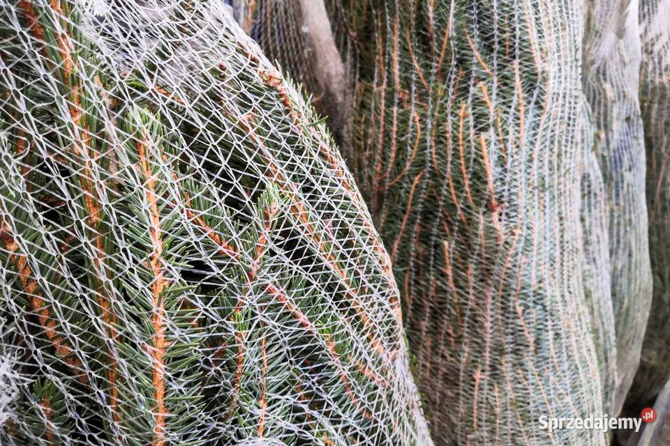 Siatka rękaw do pakowania choinek drzewek 45