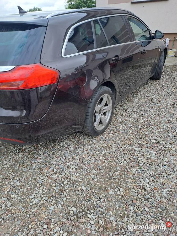 Opel Insignia Gniezno