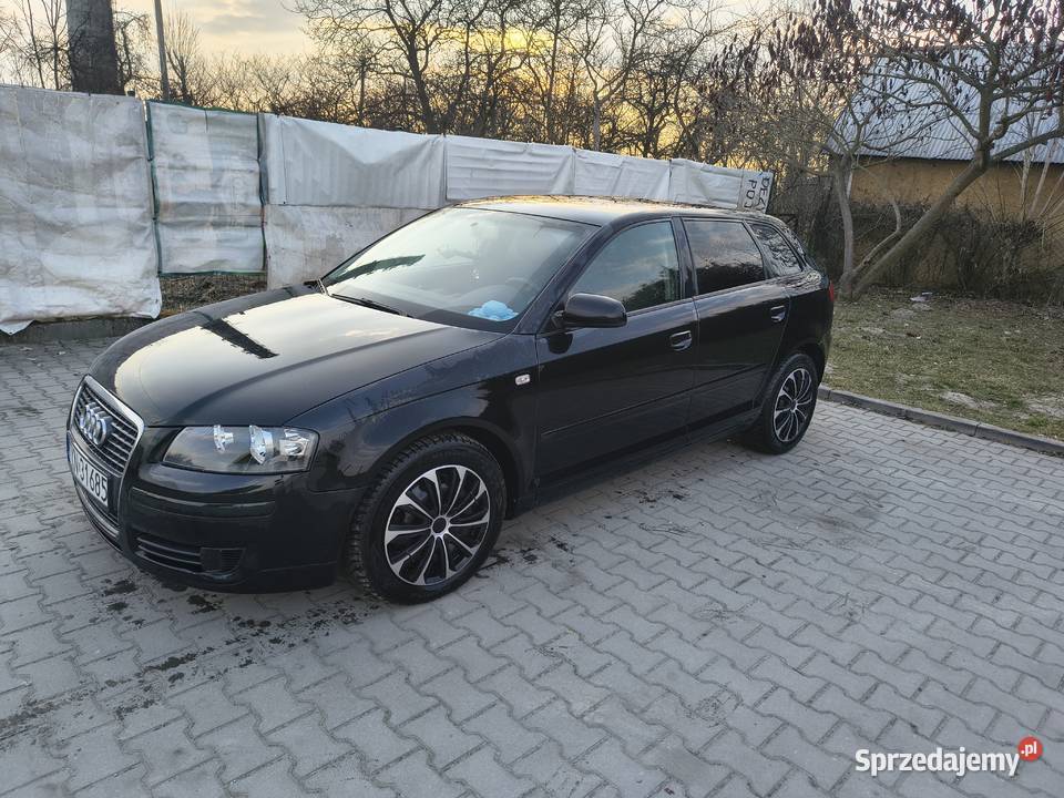 Audi A3 8P Sportback 19 TDI Jędrzejów