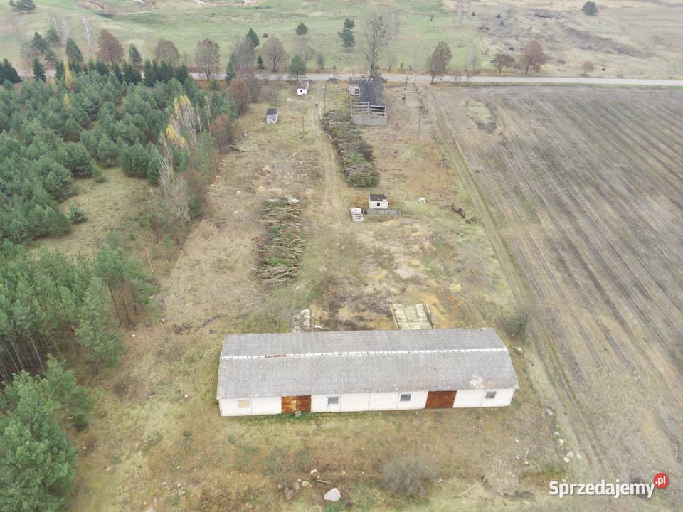 Załuki działka z halą sprzedam