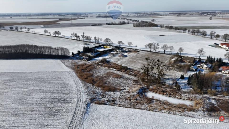 Działka inwestycyjna 9521mNapachanie S11 wielkopolskie Napachanie