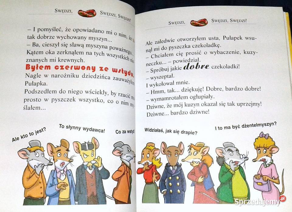 Witajcie w Twierdzy Skąpstwa Geronimo Stilton Chełm