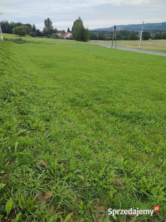 widokowa działka budowlana Tuchów Jana III budowlana małopolskie sprzedam