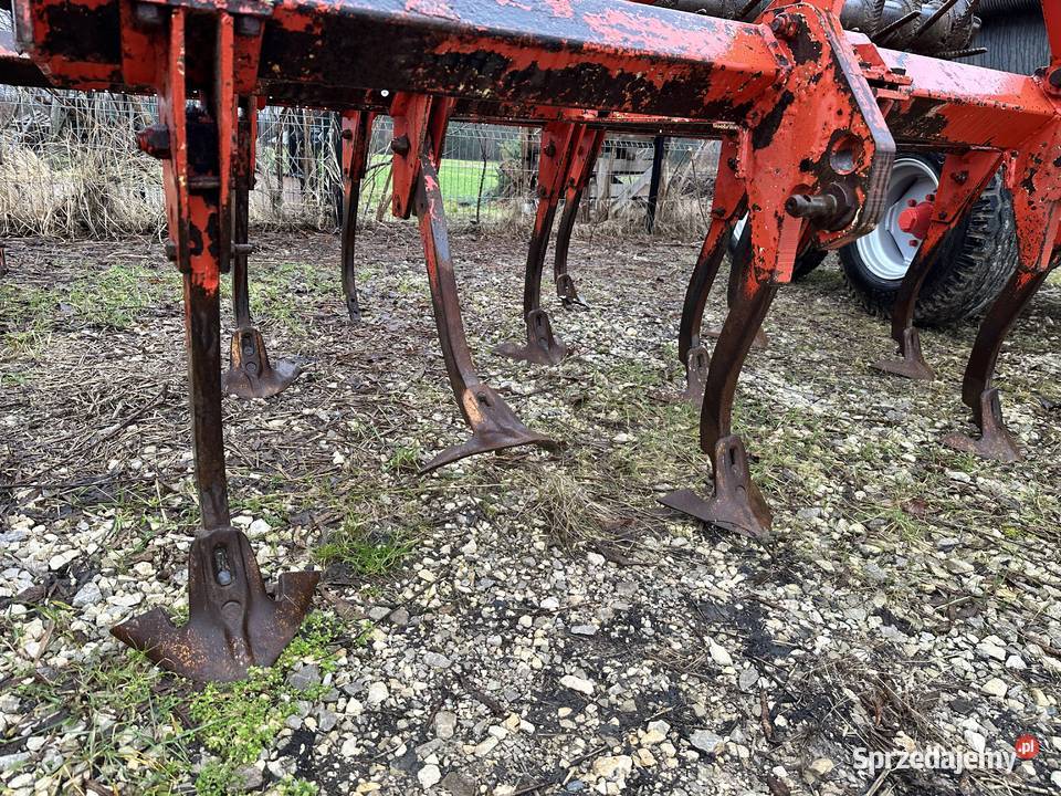 Gruber landsberg 11łap nieuszkodzony Włoszczowa sprzedam