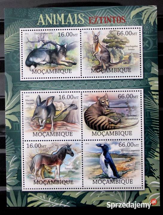 Mozambik fauna wielkopolskie sprzedam