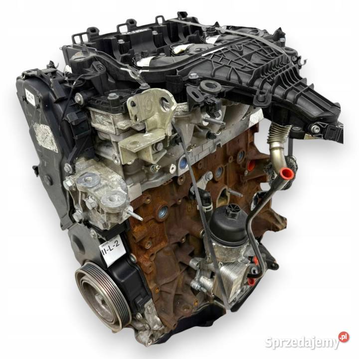 SILNIK TXDB Ford Focus III MK3 C C II 20 TDCI Chełm
