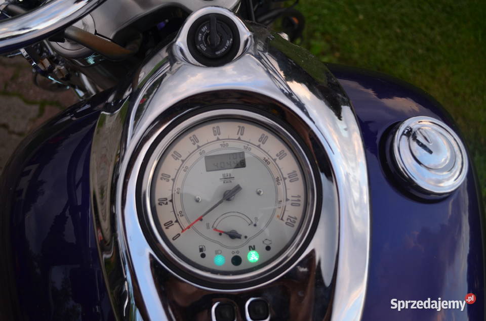 Yamaha Road Star 1600 XV 1700 Wild 1100 XVS