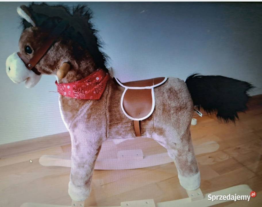 Konik bujany dziecka Pozostałe Płońsk