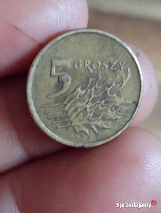 Sprzedam monete 5 groszy 1999 r Chełm