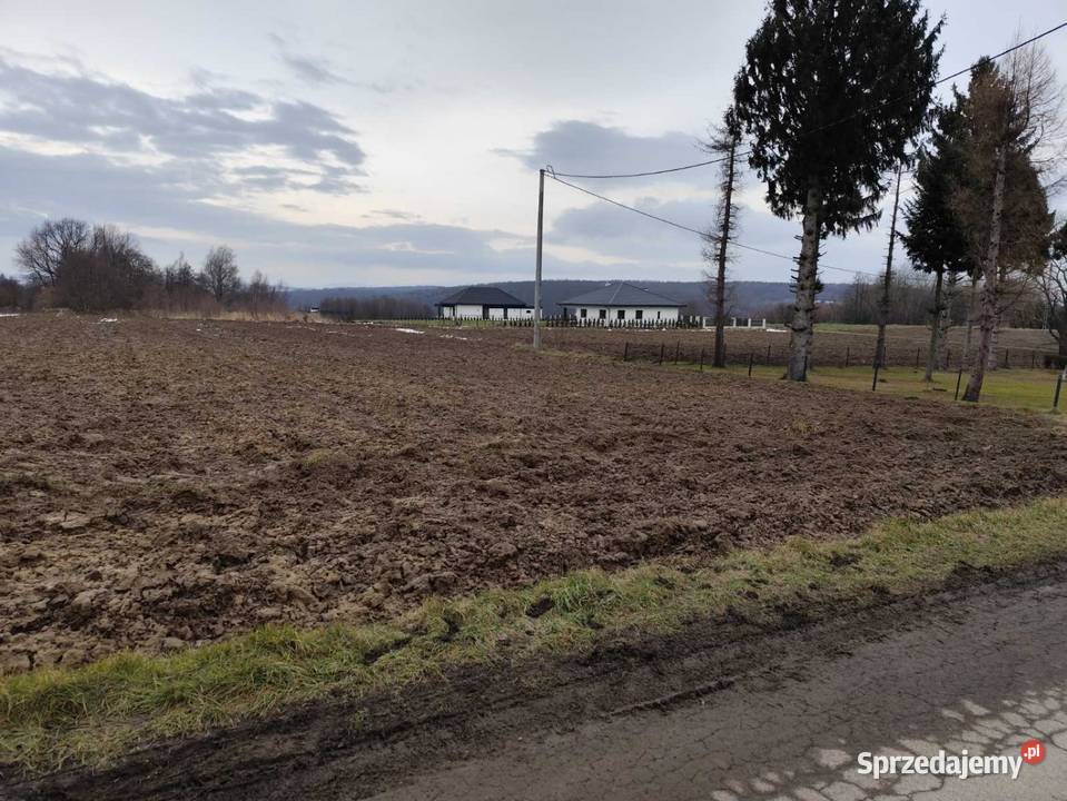 Działka budowlana w Jedliczu 31m podkarpackie