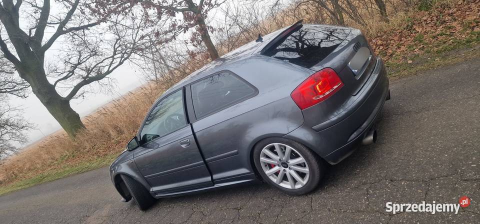 Audi A3 8P 20TDI DSG Stargard
